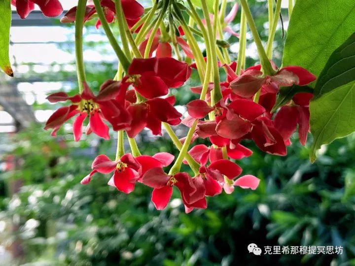 科恒股份最新动态，自然美景探索之旅的心灵觉醒