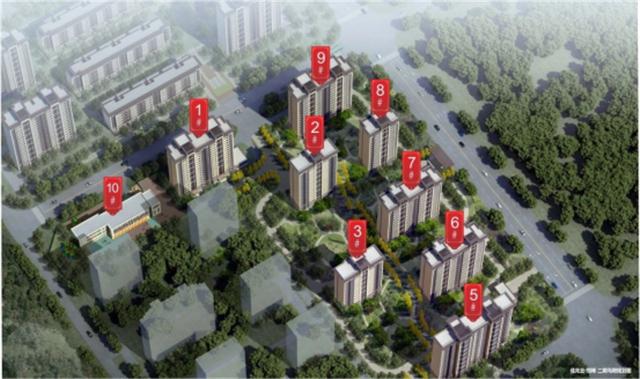 当代东方多维视角审视与解析，最新消息汇总