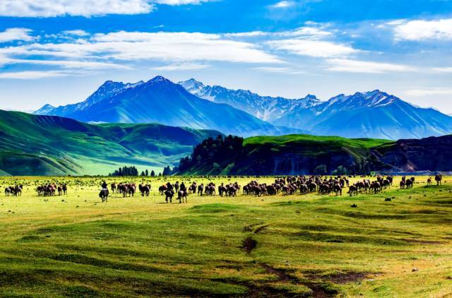 长亮科技引领科技之旅，探寻自然美景，寻找内心平和宁静的旅程