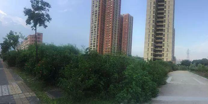 平湖人才网最新招聘，启程探索自然美景的治愈之旅！