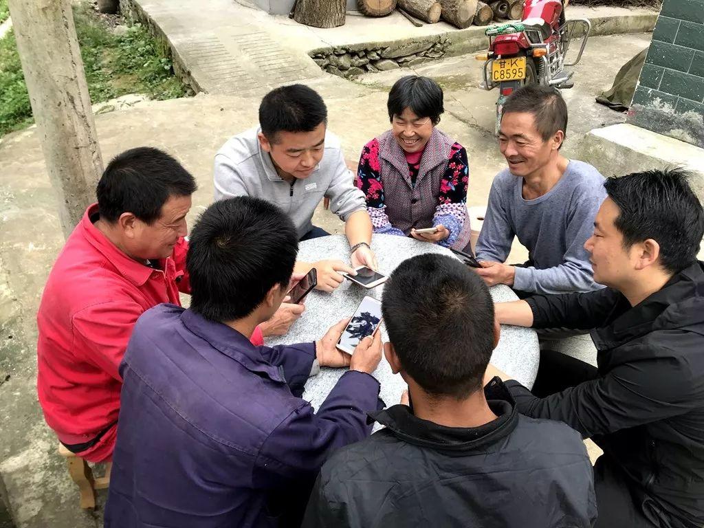 康县干部公示步骤指南，初学者与进阶用户适用详解