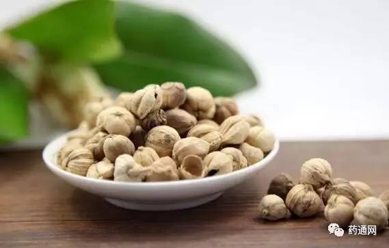 玉林白蔻最新价格指南，最新行情与价格信息解析