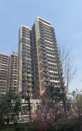 隆源国际城最新动态揭秘！