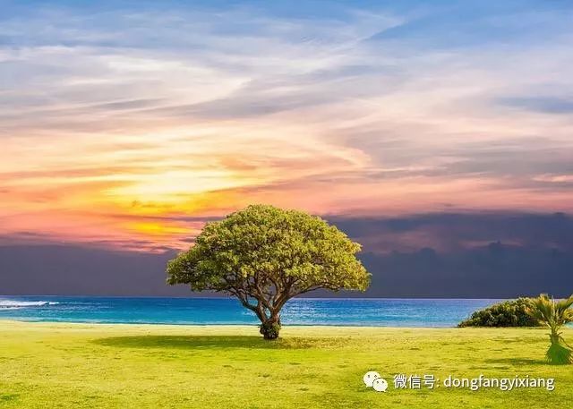 自然美景的心灵之旅，最新电影下载启程
