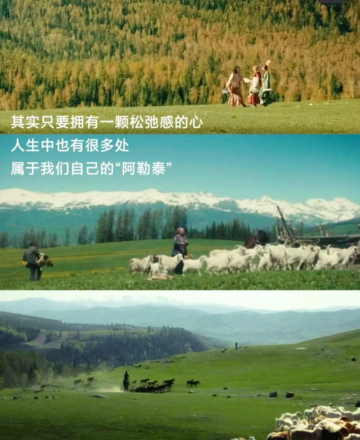 跟随360最新，启程自然美景之旅，探寻内心的宁静