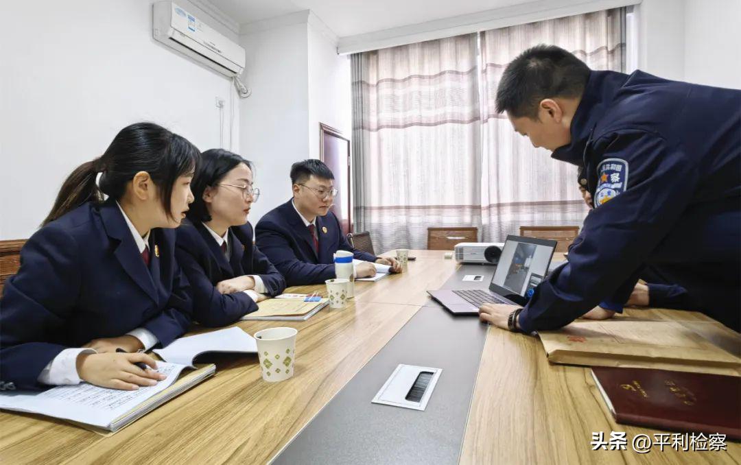最新犯罪案例分析，深度探讨与启示
