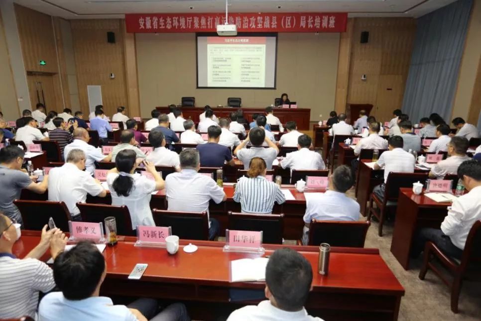 王宝强最新动态深度解析，影响力与观点阐述的全面剖析