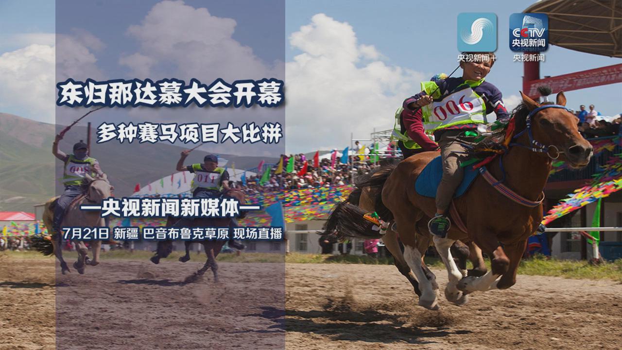 香港2024年现场开奖直播回放,细致解答解释落实_4K69.54