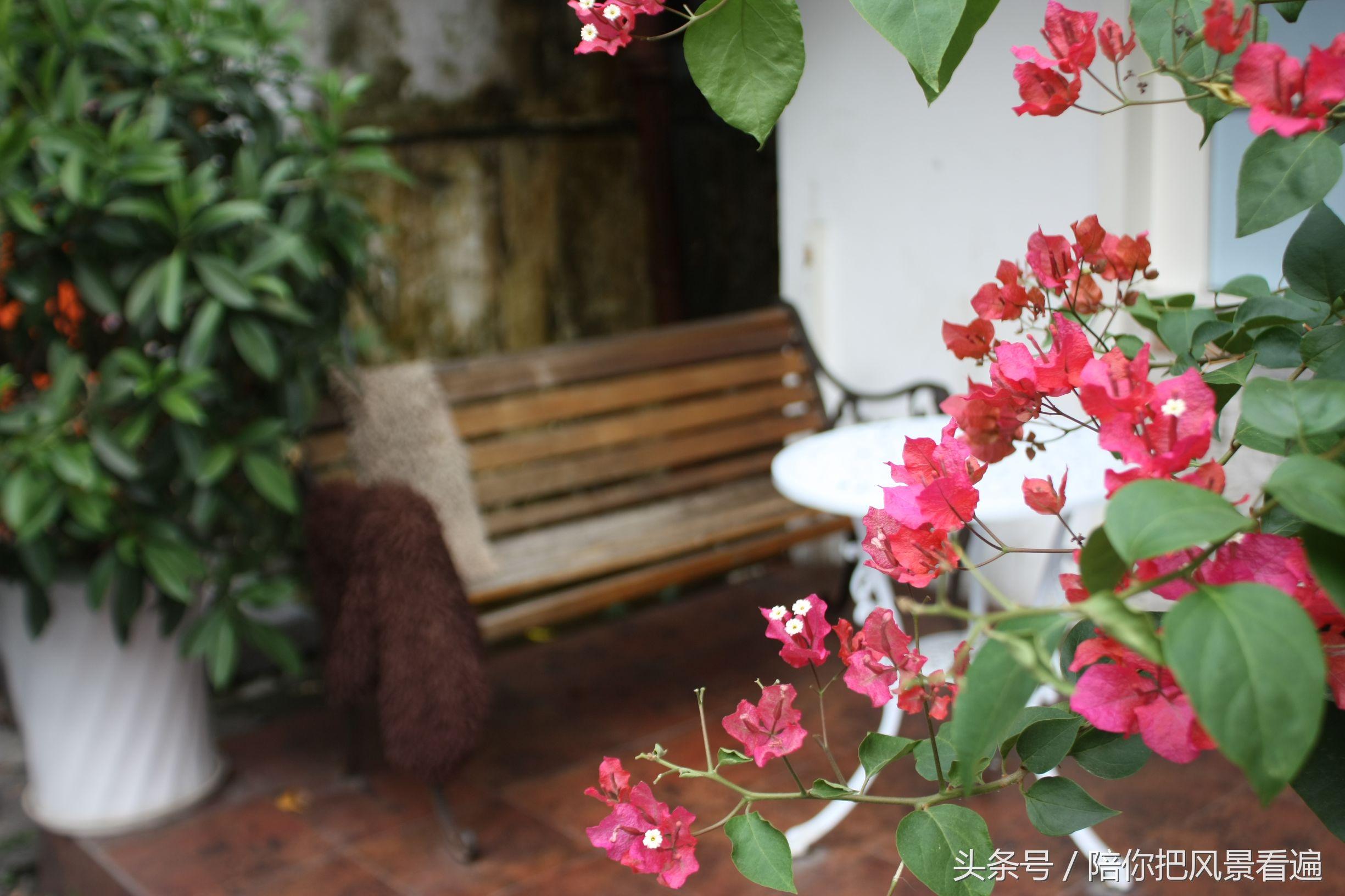 探索小巷深处的奥秘，最新理论片带你领略隐藏的特色小店之旅