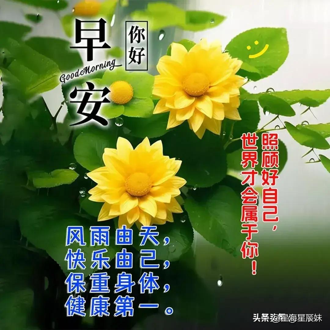 2024天天彩资料大全免费,古典解答解释落实_R版62.355