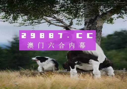 澳门跑狗图2024年今晚,性质解答解释落实_策略版97.545