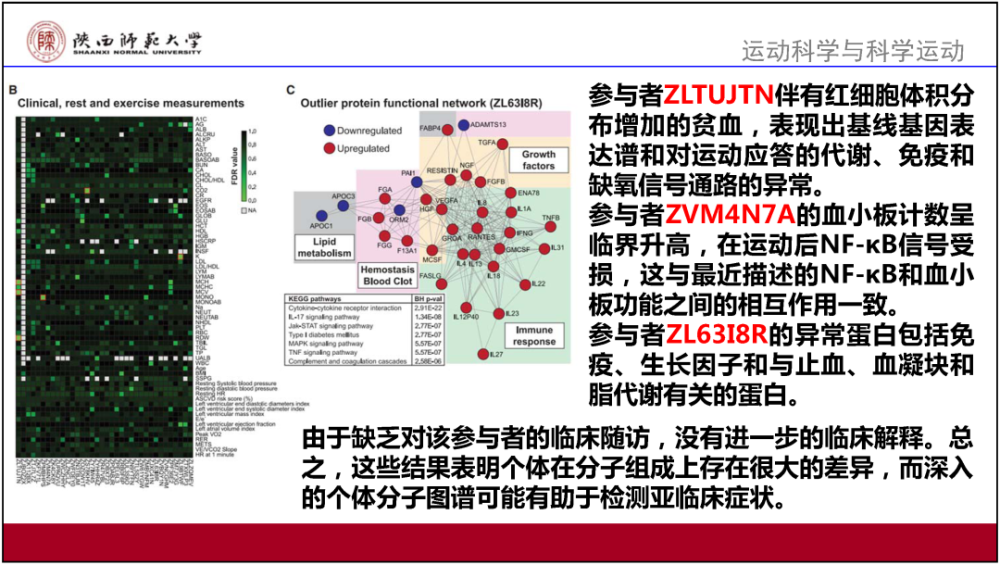 关于香港的资料大全,体系解答解释落实_标配版50.978