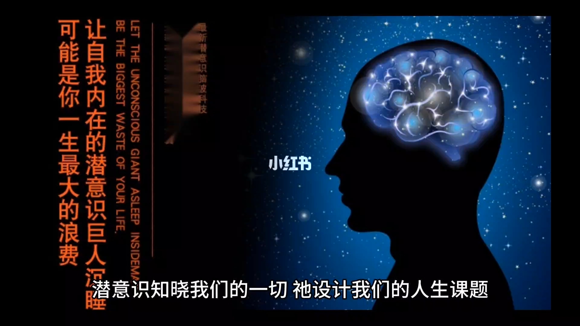 探索知识的海洋，最新网助你自信成就梦想