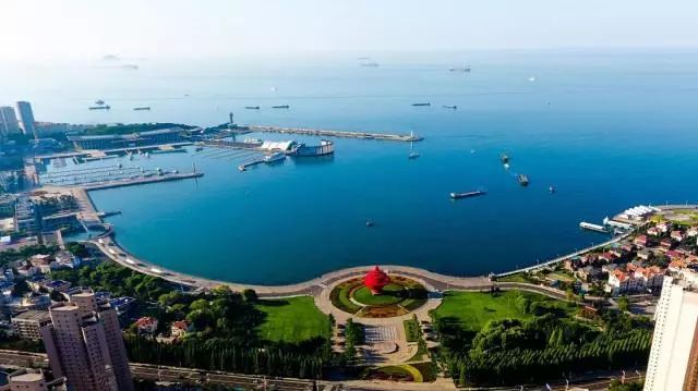 青岛扬帆起航，开启学习新篇章，最新动态与消息速递