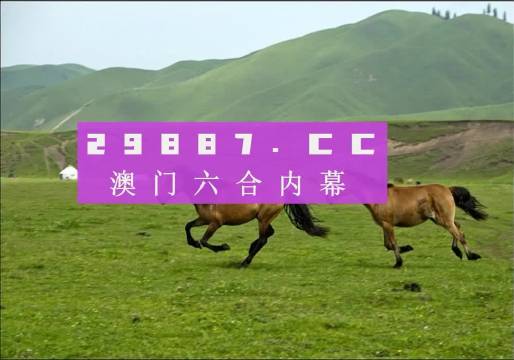 澳门天天彩期期精准龙门客栈,安全保障措施_DNU15.664轻奢版