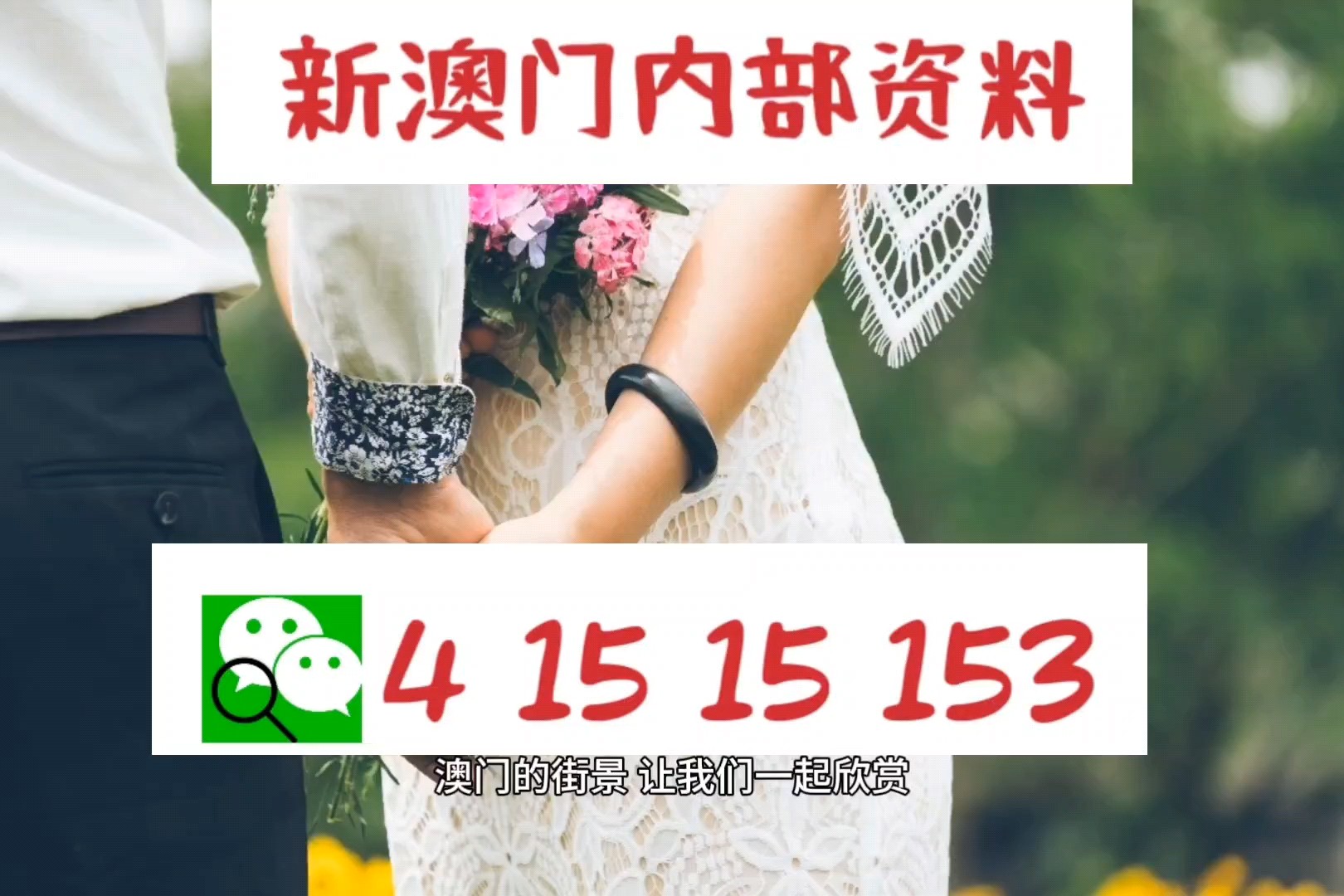 澳门传真～澳门传真,统计数据详解说明_WSH15.799UHD
