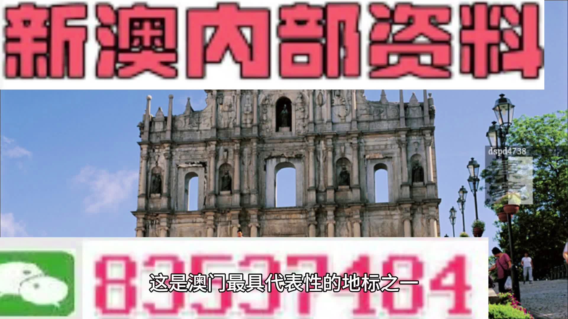 新澳2024年最新版,实地观察解释定义_MND15.540随行版