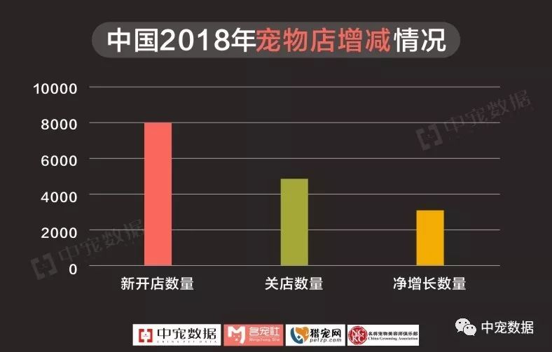 大众网官方澳门香港网,数据管理策略_SMF15.138采购版