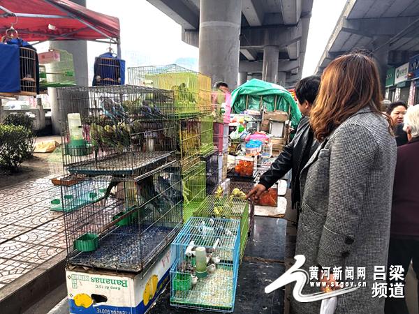 中铁十四局最新动态与小巷独特风味探秘