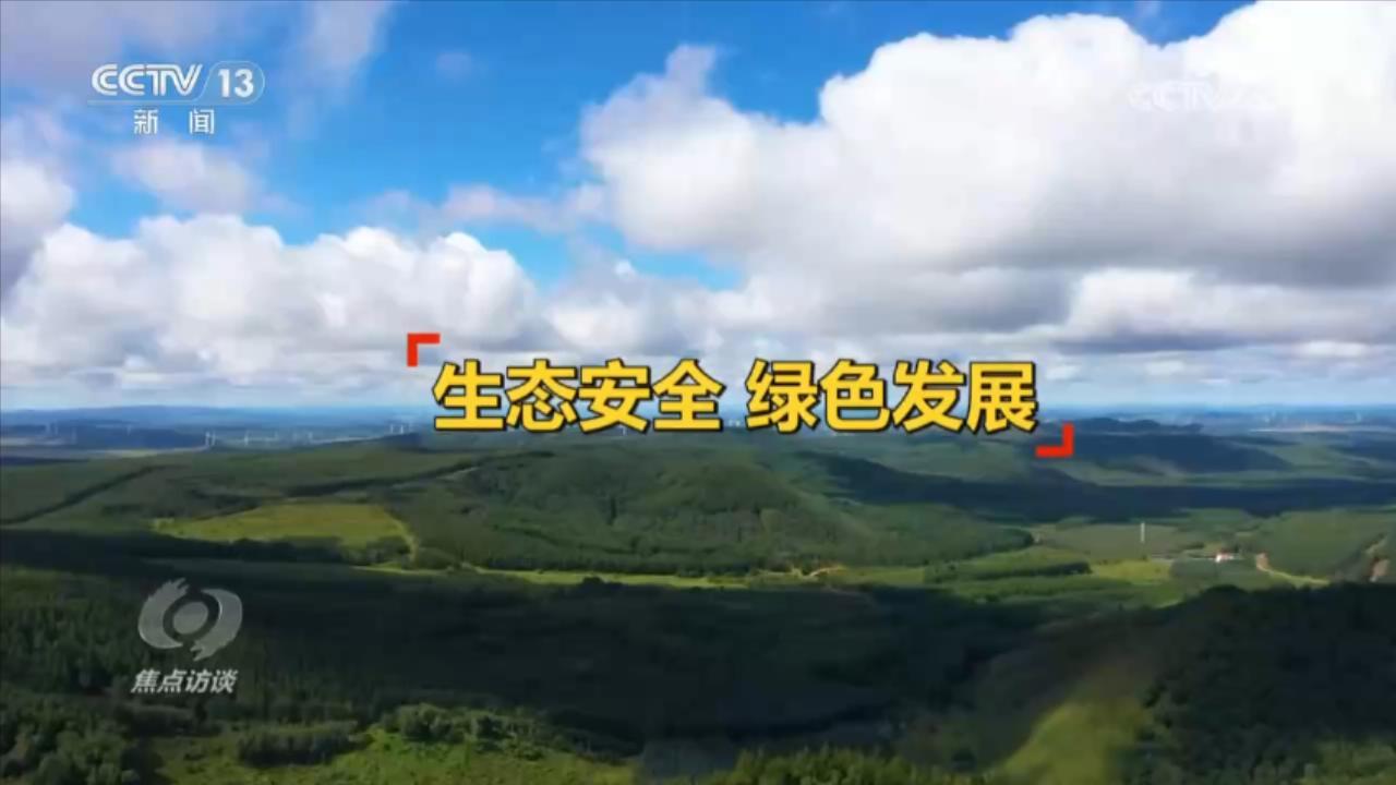 云投生态最新动态，绿色发展先锋，时代引领者的生态之路