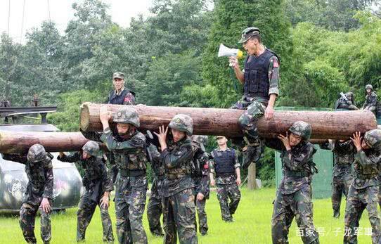 黑道特种兵最新章节详解，阅读指南与技能提升步骤全攻略
