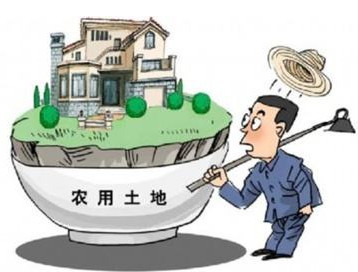 最新农村土地赔偿标准与巷弄深处特色小店探秘揭秘