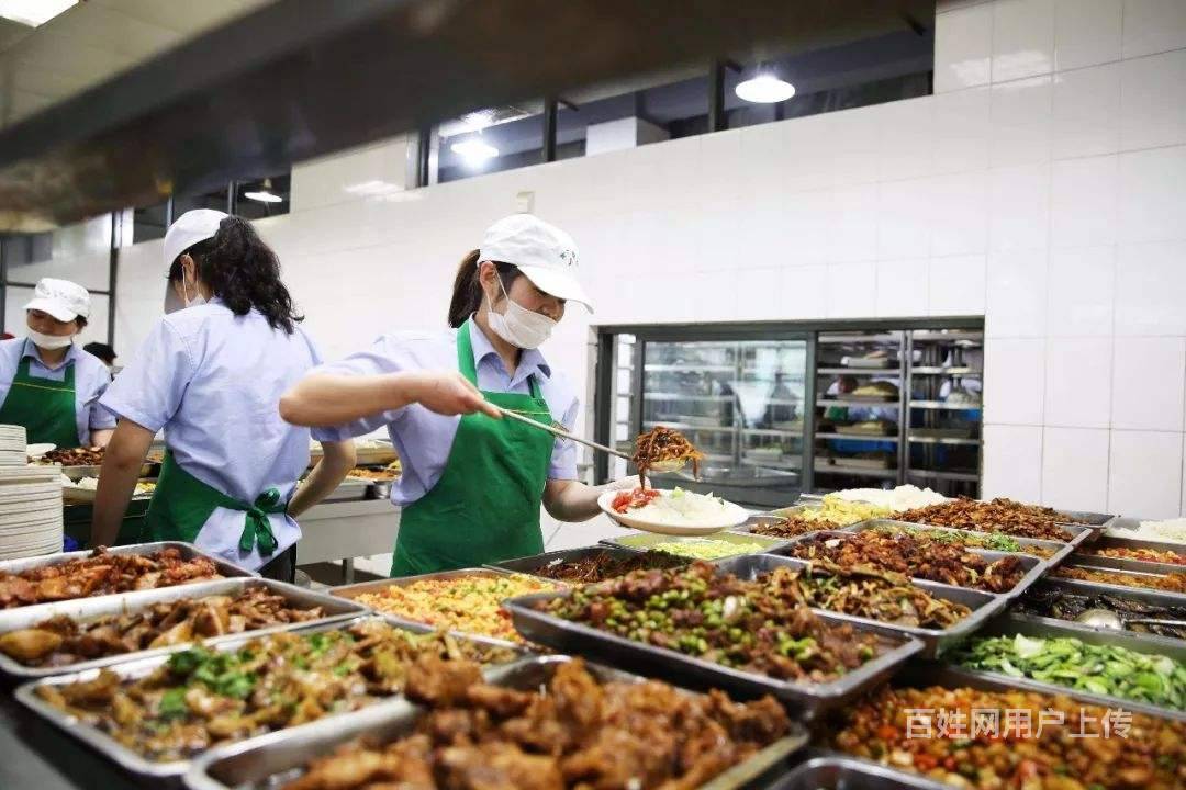 最新封闭学校食堂招租步骤详解，初学者与进阶用户的指南