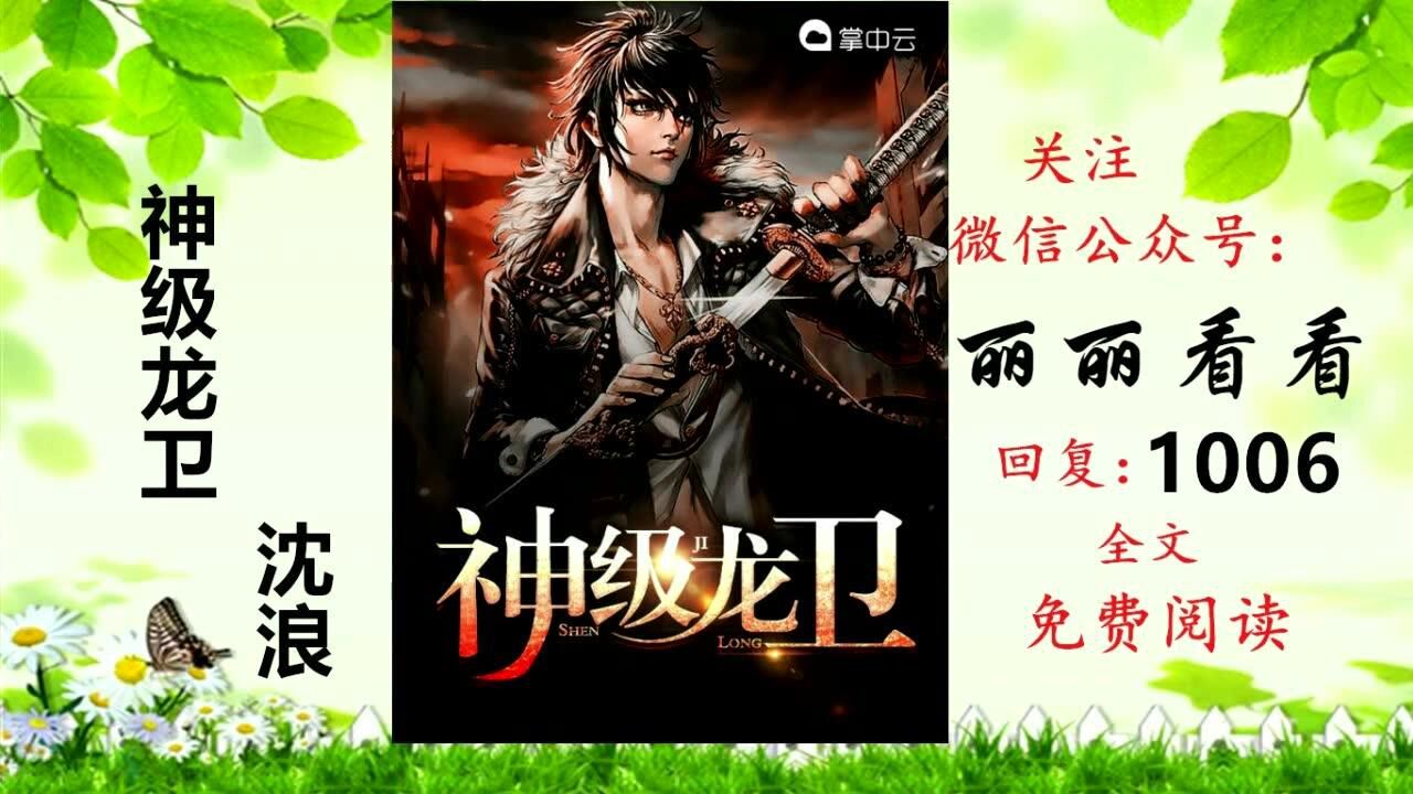 神级龙卫最新更新免费，小巷探秘神秘宝藏启幕！