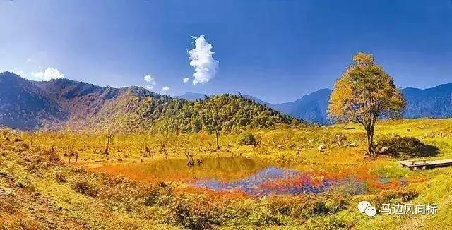 乐山绕城高速最新进展，科技驱动，便捷生活畅享